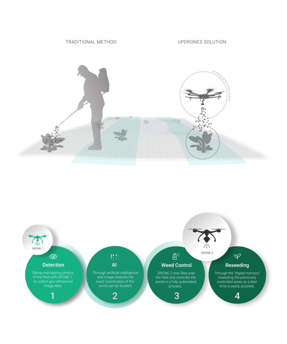 graphic: comparison of manual seeding and with a drone. Explanation of four steps: Detection, AI, Weed Control, Reseeding